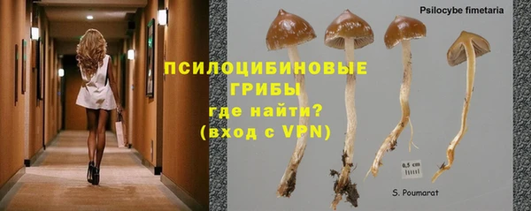 бошки Мегион