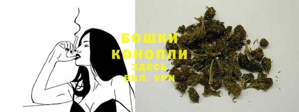 бошки Мегион